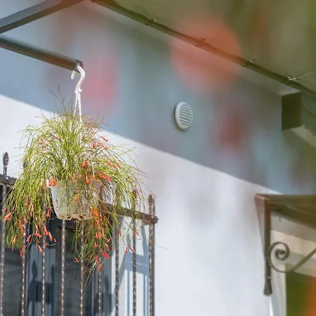 Nona Apartment